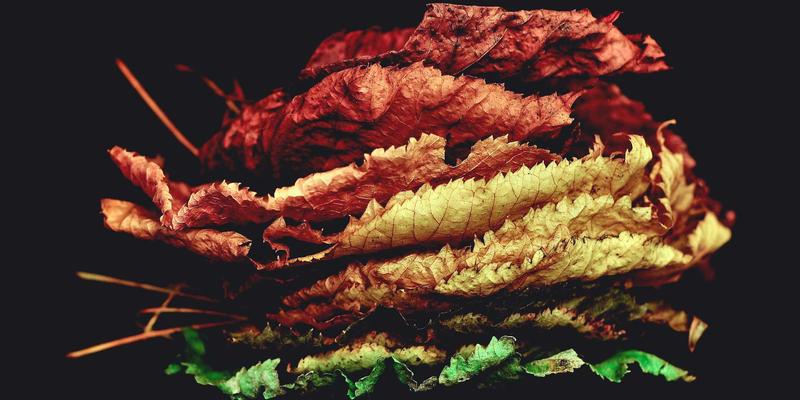 2024年GL地板价格全解析：一平米多少钱？安装与选购指南