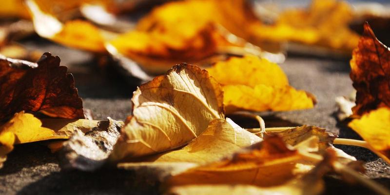 GL地板78:专业解析商务地板安装与材料选择的核心要诀