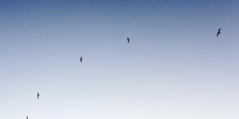 GL地板减震性能深度解析：健身房与舞蹈教室的专业运动保护地面解决方案