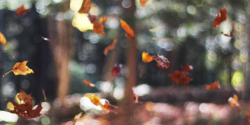 GL地板在冷链物流中的卓越表现：深度解析低温冷库专用地板的抗冻裂与耐磨损性能