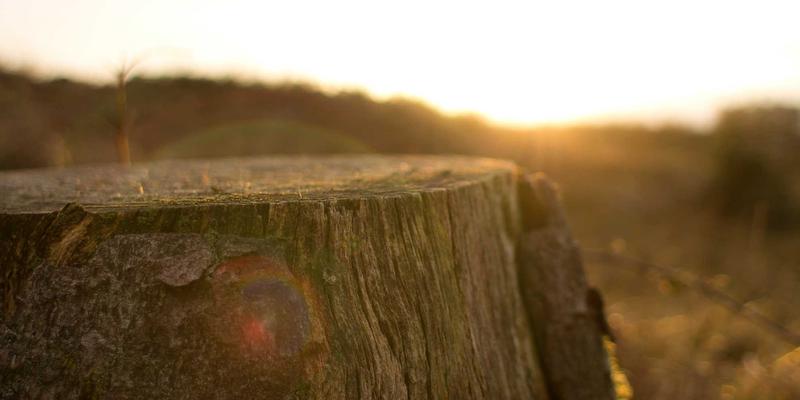 GL地板在机场航站楼的应用：高流量区域的耐久性与专业地面处理策略