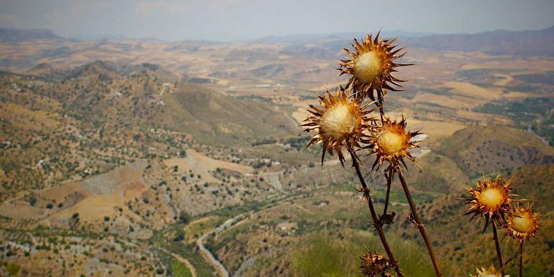 GL地板模块化安装系统:旧商务地板快速翻新改造技术全解析