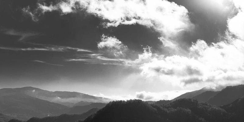 GL地板深度解析：商务地面工程的理想材质选择