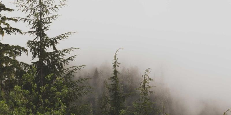 GL地板耐磨等级深度解析：为高流量商业区选择最佳地板解决方案