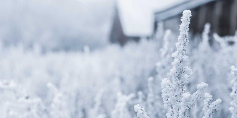 GL地板色彩与纹理设计：如何通过专业地板解决方案提升商业空间品牌形象