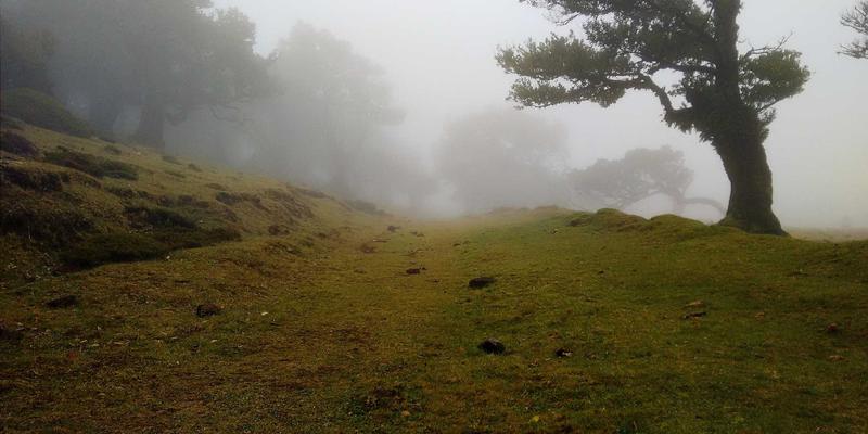 GL地板解决方案：专业地面处理如何优化教室与图书馆的声学设计