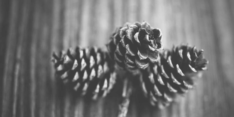 GL地板防静电技术深度解析：数据中心与电子厂房地面工程的关键考量