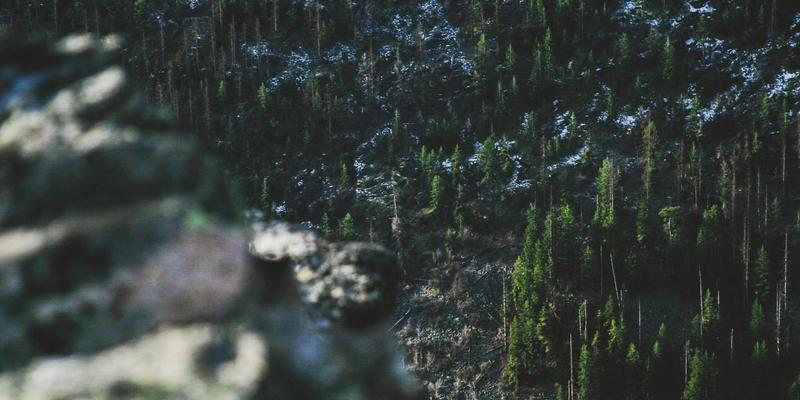 守护艺术珍品：GL商务地板在博物馆与画廊中的专业保护性铺设方案